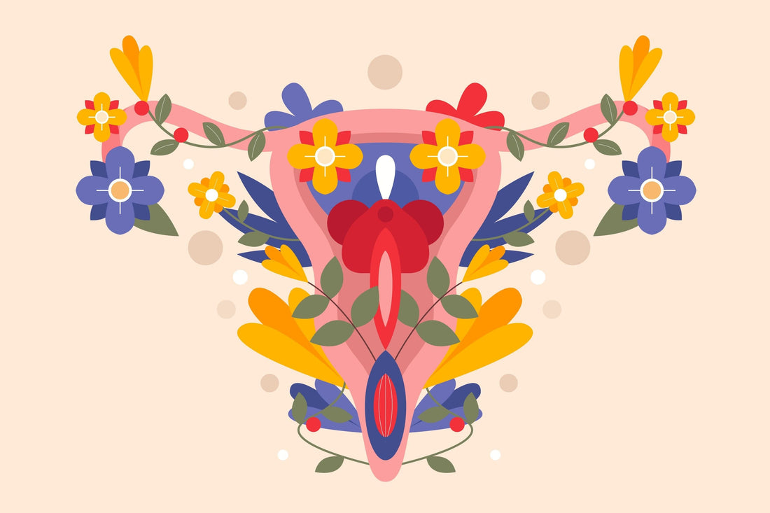 Microbiota vaginal en la menopausia: el ecosistema íntimo del que nadie habla