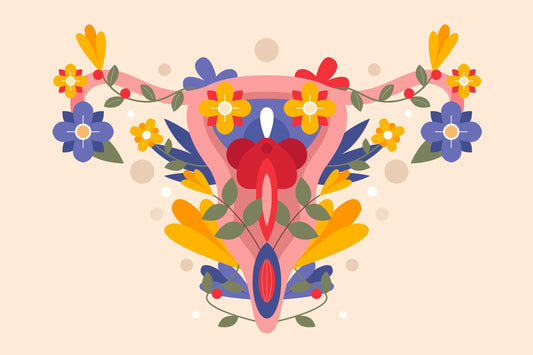 Microbiota vaginal en la menopausia: el ecosistema íntimo del que nadie habla