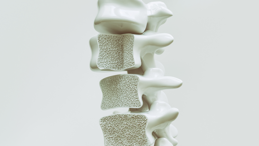 Menopausia y Osteoporosis: causas, síntomas, prevención y tratamientos