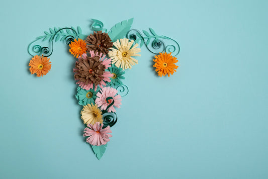 Sequedad vaginal en la menopausia (GSM): causas, síntomas, tratamientos y cómo hidratar la zona íntima