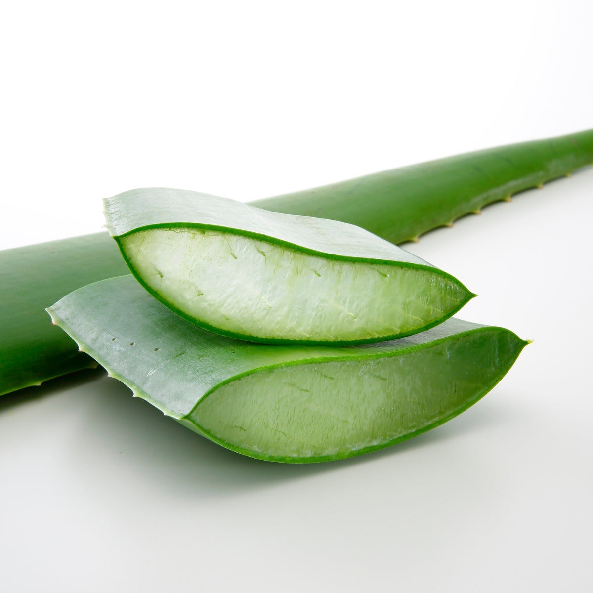 Hojas de aloe vera, ingrediente hidratante del gel íntimo Nessum para la sequedad en la menopausia